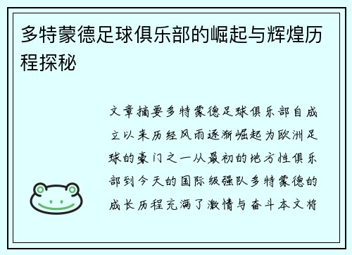 多特蒙德足球俱乐部的崛起与辉煌历程探秘