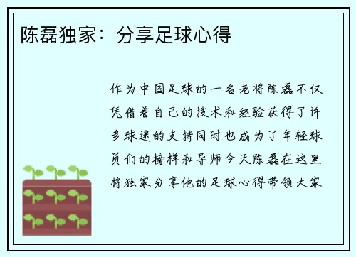 陈磊独家：分享足球心得