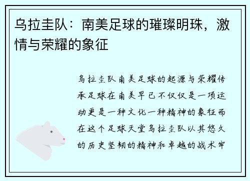 乌拉圭队：南美足球的璀璨明珠，激情与荣耀的象征