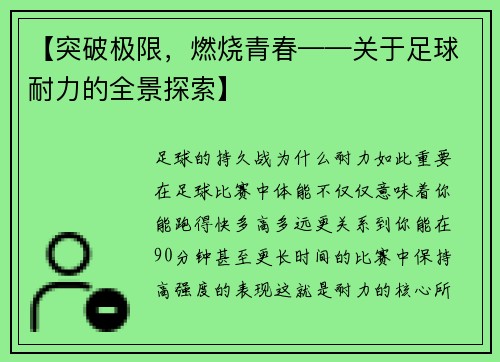 【突破极限，燃烧青春——关于足球耐力的全景探索】