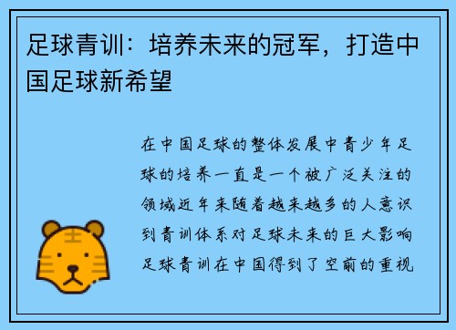 足球青训：培养未来的冠军，打造中国足球新希望